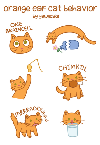 orange cat behavior orange cat behavior